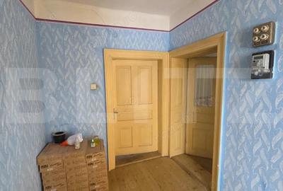 Casa cu teren 32 ari Viile Tecii, la 30 km de Bistri?a - 13