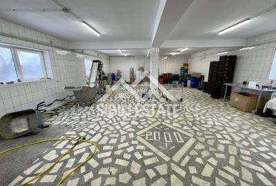 Spatiu productie zona Selimbar, pretabil alimentatie, productie - 1