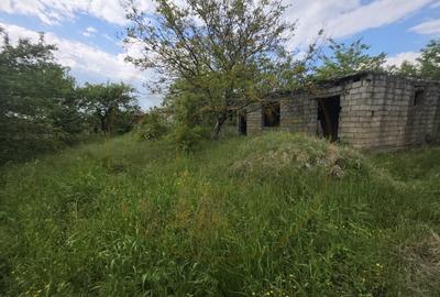 Teren Construcții intravilan de 1887 mp, în Lipău - 2