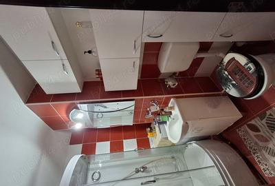 Garsonieră decomandată în Tudor - 5