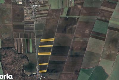 Teren de 68514 mp, în Butimanu - 6