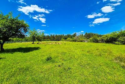 Teren de 9696 mp, în Spiridoni - 3