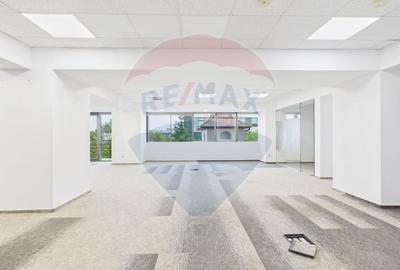 Birou, de 266 mp, în Băneasa - 12