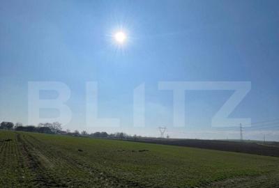 Teren extravilan, 7.300 mp, front 51 ml - Falticeni - 2