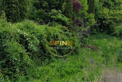 Teren intravilan cu deschidere la parau in Breaza - Strada Primaverii - 5