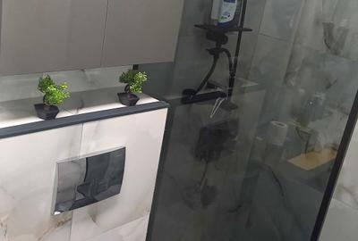 Apartament cu 2 camere decomandat în Lunca Cetățuii - 3