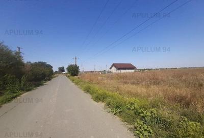 Teren pentru case in 1 Decembrie - 18