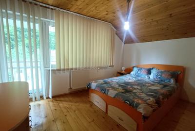 Casă individuală cu 7 camere cu Canalizare în Valea Mănăstirii - 7