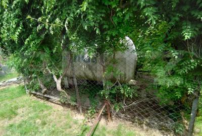 Casă cu 4 camere cu Teren 1500 Mp în Malu Mare - 8