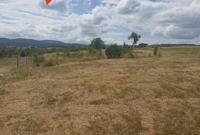 De vanzare teren extravilan in Valea Crisului - 2