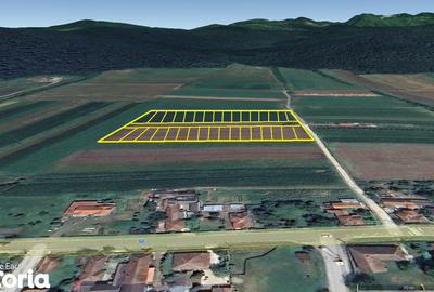 Teren de 400 mp, în Șoimuș - 5