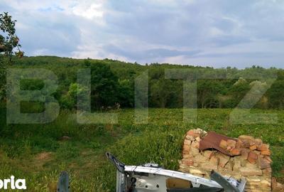 Casă cu 2 camere cu Teren 4700 Mp în Bonț - 4