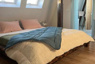 Aparament de inchiriat , centru vechi 100m - 5