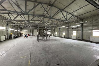 OTOPENI ODAILE HALA Productie si depozitare 1000 MP - 10
