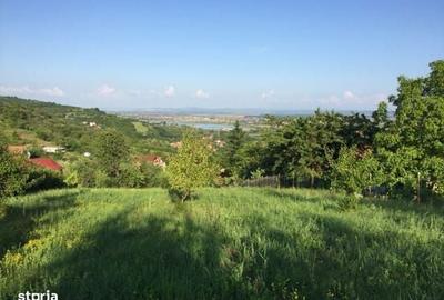 Spațiu comercial, în Podgoria