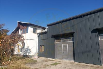 De inchiriat: Hale si locuinta pe 3 000 mp/ Bascov - Arges - 1