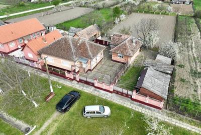 Casă cu 6 camere cu Teren 2200 Mp în Șicula - 3