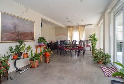 Casa / Vila cu 10 camere, de vanzare. Todireni, Botosani. - 17