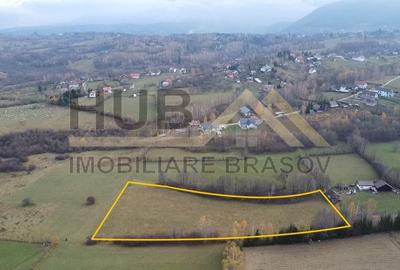 Teren Zarnesti | Tohanita | Intravilan | PUZ aprobat | Fara Utilitati | 9.053mp - 1