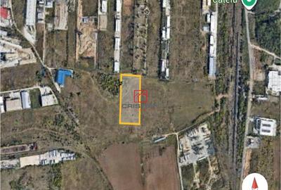 Teren Theodor Pallady-Drumul intre Tarlale-Oxigenului - 1