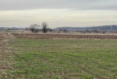 Teren extravilan Gulia Dambovita 3734mp - 5