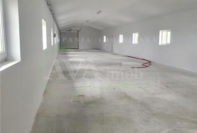 Spațiu comercial, de 370 mp, în Nicolae Bălcescu - 19