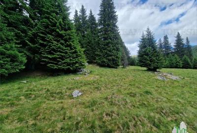 Teren de 6000 mp, în Dobrești - 14