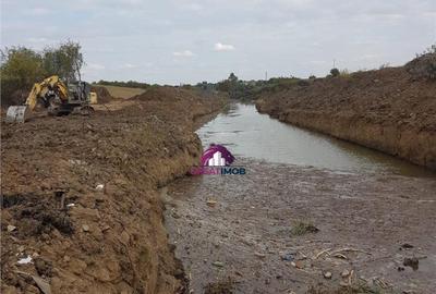 Teren 55.500 mp Snagov Lac - 5