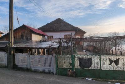 Casă în Roșia de Amaradia - 6