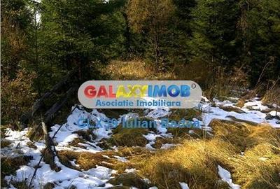 Teren pentru Complex Turistic - 12 730 mp  - Vatra Dornei - 9