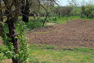 Casă cu 4 camere cu Teren 4200 Mp în Izvoru (Gogoșari) - 3