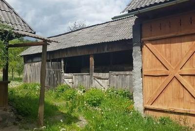 Casă cu 4 camere cu Teren 1500 Mp în Giulești - 7