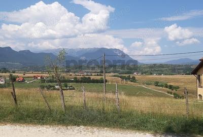 Teren intravilan de vanzare - Bran, sat Sohodol