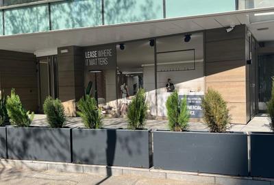 Spatiu Comercial Restaurant 378 MP + 139 MP Terasa | Piata Victoriei - 5