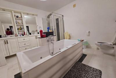 Vanzare proprietate - casa si terenValea Voievozilor Dambovita - 12