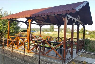Casă cu 8 camere în Sânmartin - 3