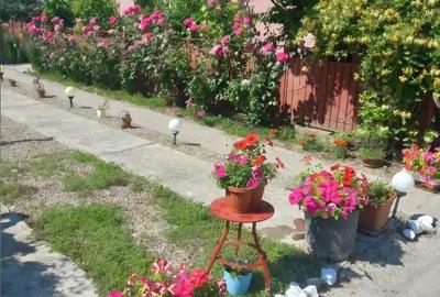 Casă în Osica de Sus