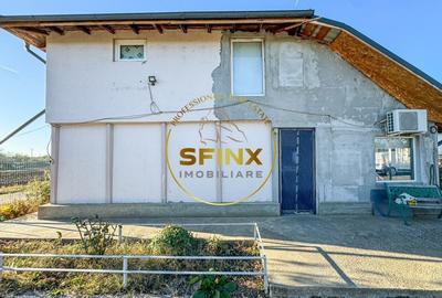 De vanzare ferma Calarasi in stare de conservare - sere - livada - 26