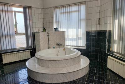 Vila exclusivista, padurea Dumbrava - 5