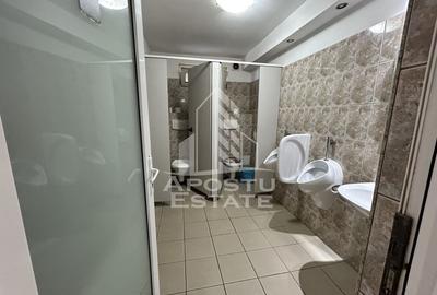 Afacere le cheie Statie PECO si pensiune cu 18 camere, Biled. - 11