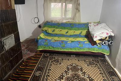 Casa formata din 2 corpuri de in sat Maluri , comuna Vultur - 5