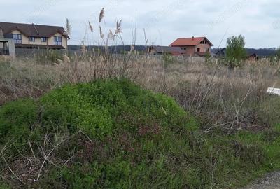 Vanzare teren sag manastire - 2