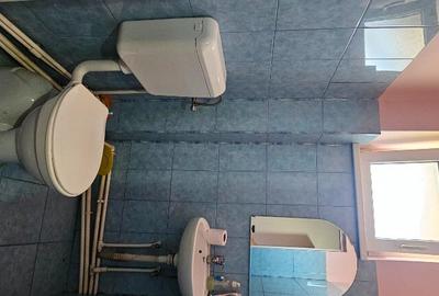 Proprietate multifunctionala,com.D-va Rosie,casa+sp.comercial+teren - 32