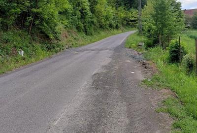 Teren de 4961 mp, în Vărădia de Mureș - 5