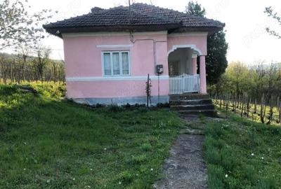 Casă cu 2 camere cu Teren 5000 Mp în Gura Motrului - 1