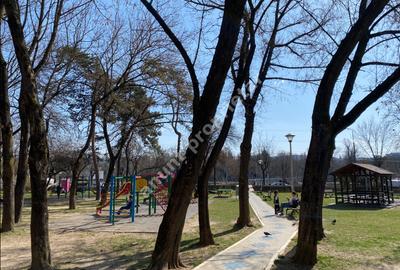 Garsonieră semidecomandată, mobilată în Grigorescu - 12