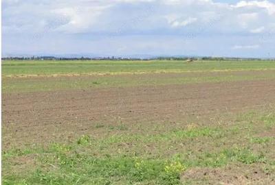 Teren extravilan Cocorastii Colt ; ID: R2710069 - 5