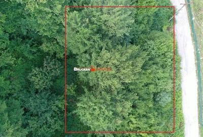 TEREN INTRAVILAN CONSTRUIBIL 400 mp | Statiunea Boga, com. Pietroasa, jud. Bihor - 5