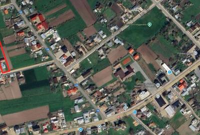 Casă cu 3 camere în Arbore - 6