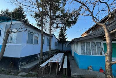 Casă cu Teren 2700 Mp în Iazu Nou - 4